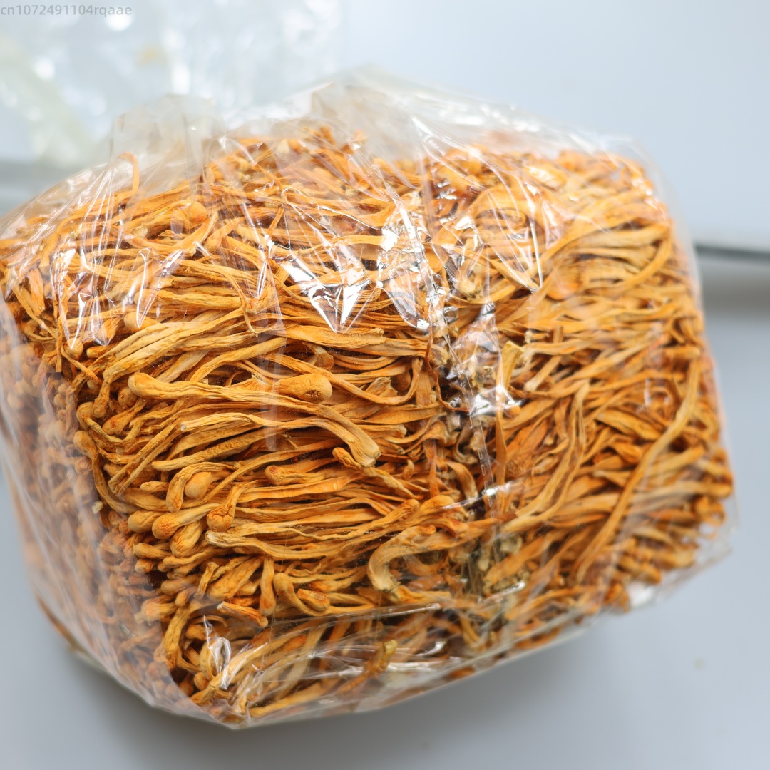 Soap Making Party - Fleur de Cordyceps séchée naturelle de