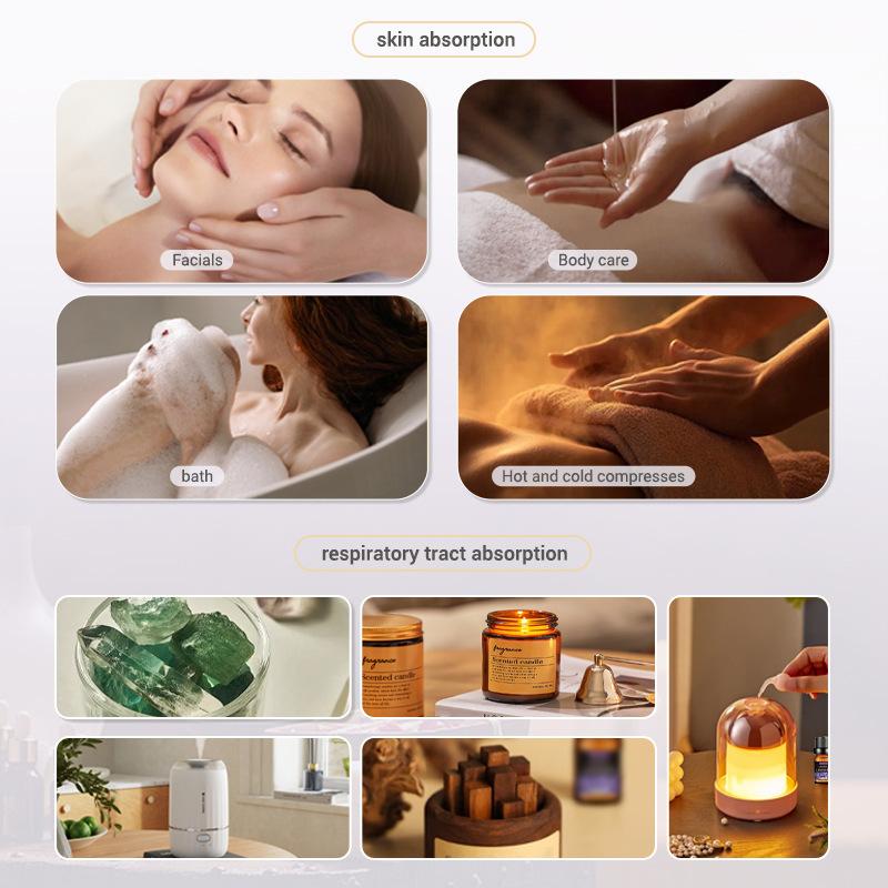 Huiles parfumées 10ml, boîte-c - Soap Making Books avis et prix