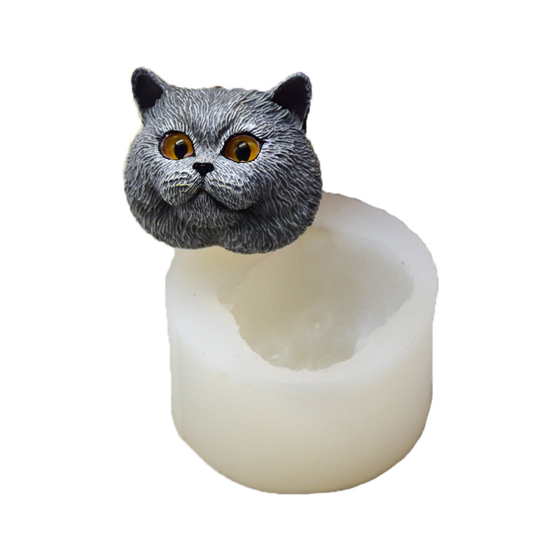 Moule en silicone en forme de  - Soap Making Party avis et prix