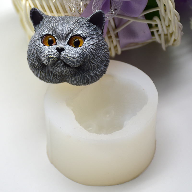 Moule en silicone en forme de  - Soap Making Party avis et prix