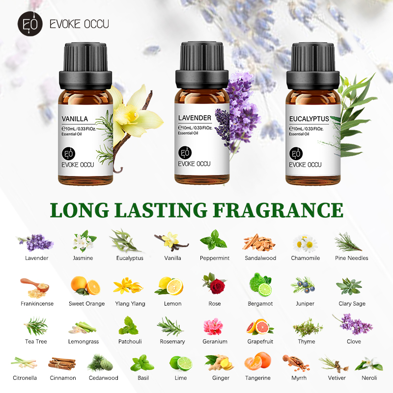 EVOKE OCCU 10mL huile essentie - Soap Making Ingredients avis et prix